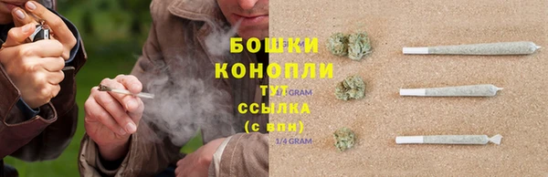 спайс Баксан