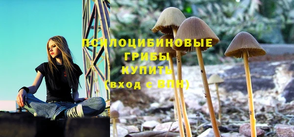спайс Баксан