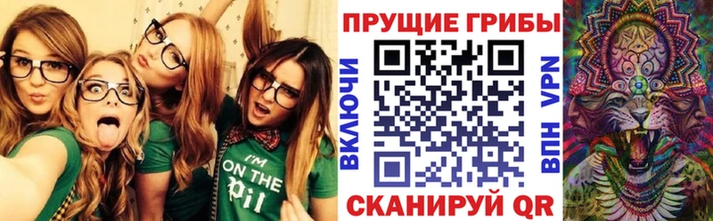 Галлюциногенные грибы прущие грибы Пушкино