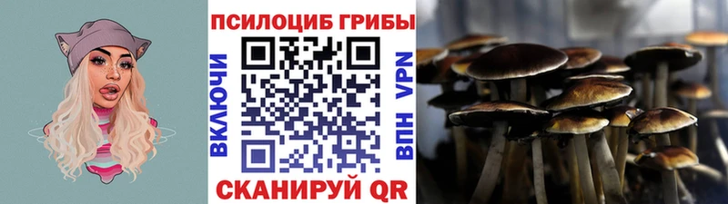 Галлюциногенные грибы GOLDEN TEACHER  Купить где  Пушкино 