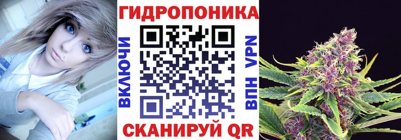 Купить  Пушкино  Шишки марихуана конопля 